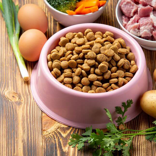 pet food